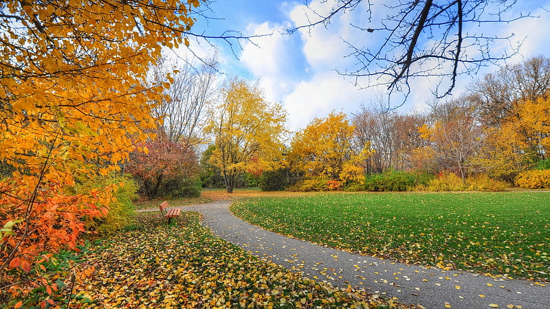 Autumn Park, bench, leaves, fall, trees, colors, grass, sky, HD ...