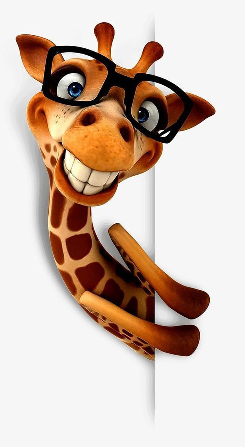 Giraffe, cute, HD phone wallpaper