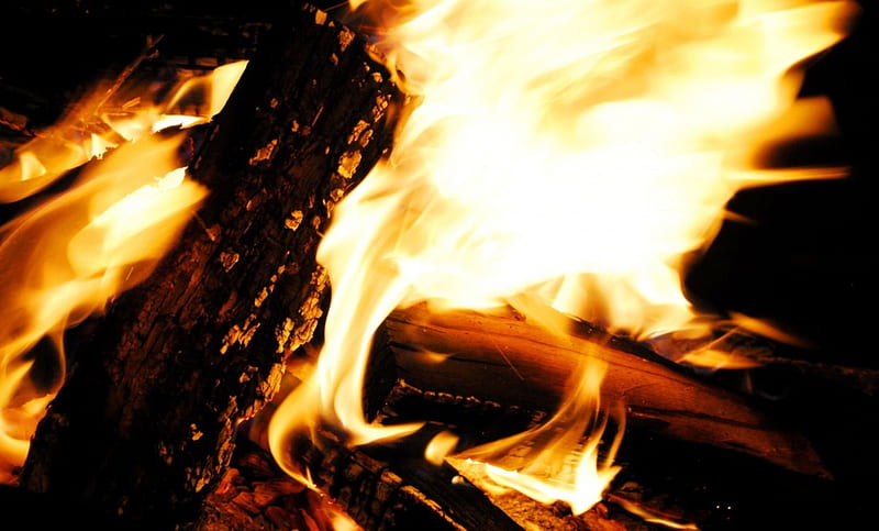 A Nice Warm Fire, warm, brown, burning, black, shadow, yellow, country, abstract, living, fire, flame, hot, wood, HD wallpaper