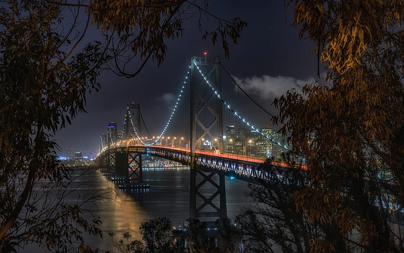 Bay Bridge, San Francisco, Suspension Bridge, Night, City Lights, San Francisco Bay, California, USA, HD wallpaper