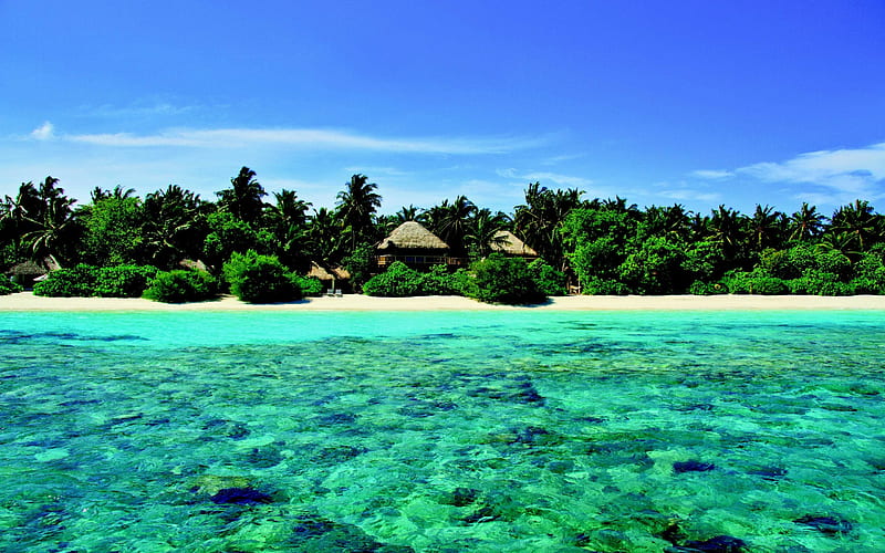 Maldives, beach, bungalows, tropical island, sea, palm trees, coast, HD wallpaper