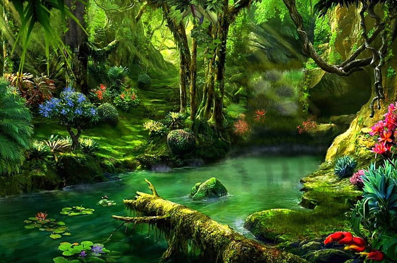 Floresta, pasion, fantasia, color, vista, HD wallpaper