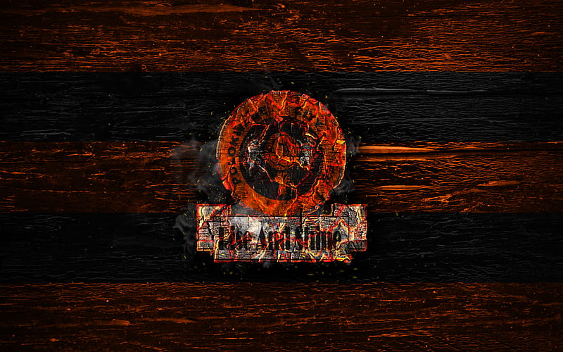 Polokwane FC, fire logo, Premier Soccer League, orange and black lines, South African football club, grunge, football, soccer, Polokwane logo, wooden texture, South Africa, HD wallpaper