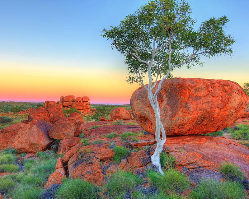 Devils Marbles Australia, boulder, rock, grass, orange, sky, canyons, tree, green, australia, nature, HD wallpaper