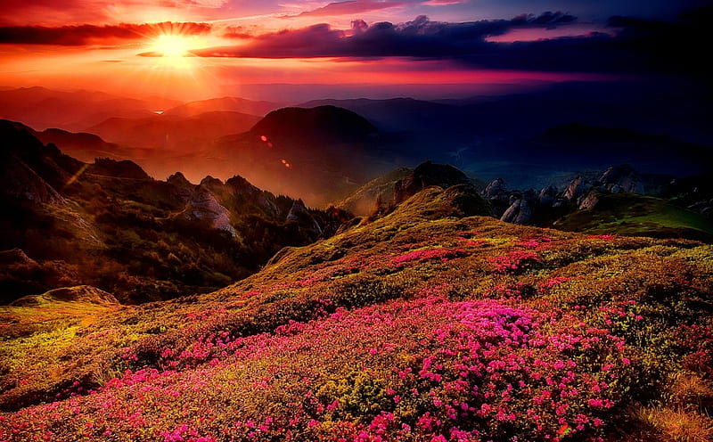 Amazing mountain sunset, hills, red, amazing, lovely, view, dazzling, bonito, sunset, sky, clouds, valley, mountain, wildflowers, summer, HD wallpaper