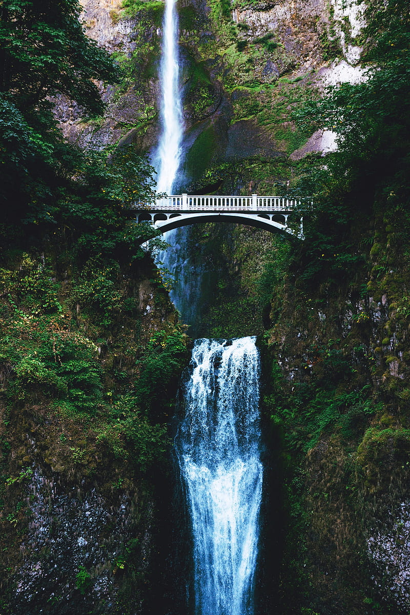 nature, water, bridge, trees, waterfall, HD phone wallpaper