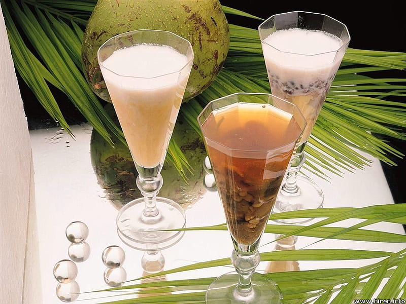 Coconut Juice, glasses, palm fronds, drinks, HD wallpaper