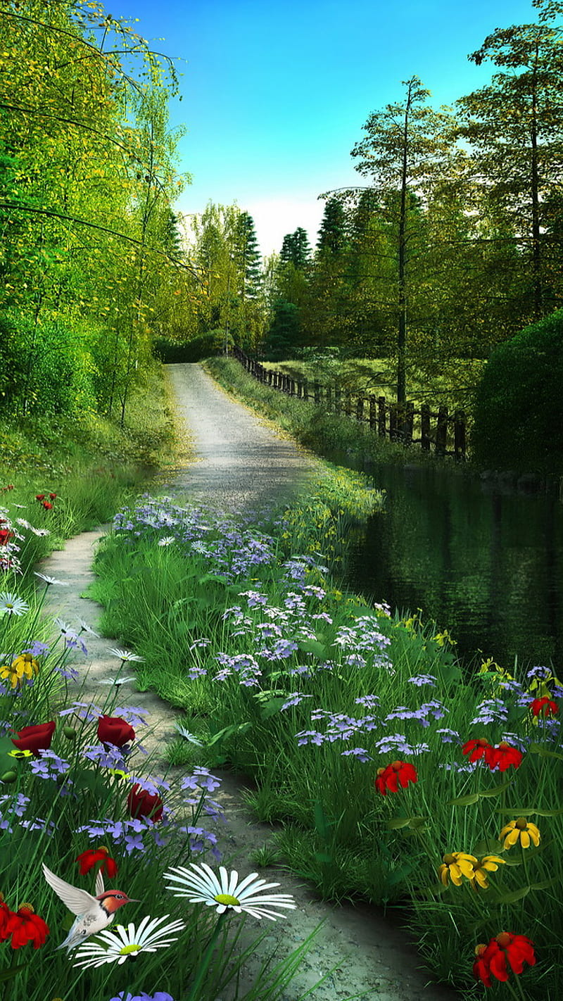 Nature, bird, flowers, grass, leaves, river, road, trees, water, HD phone wallpaper