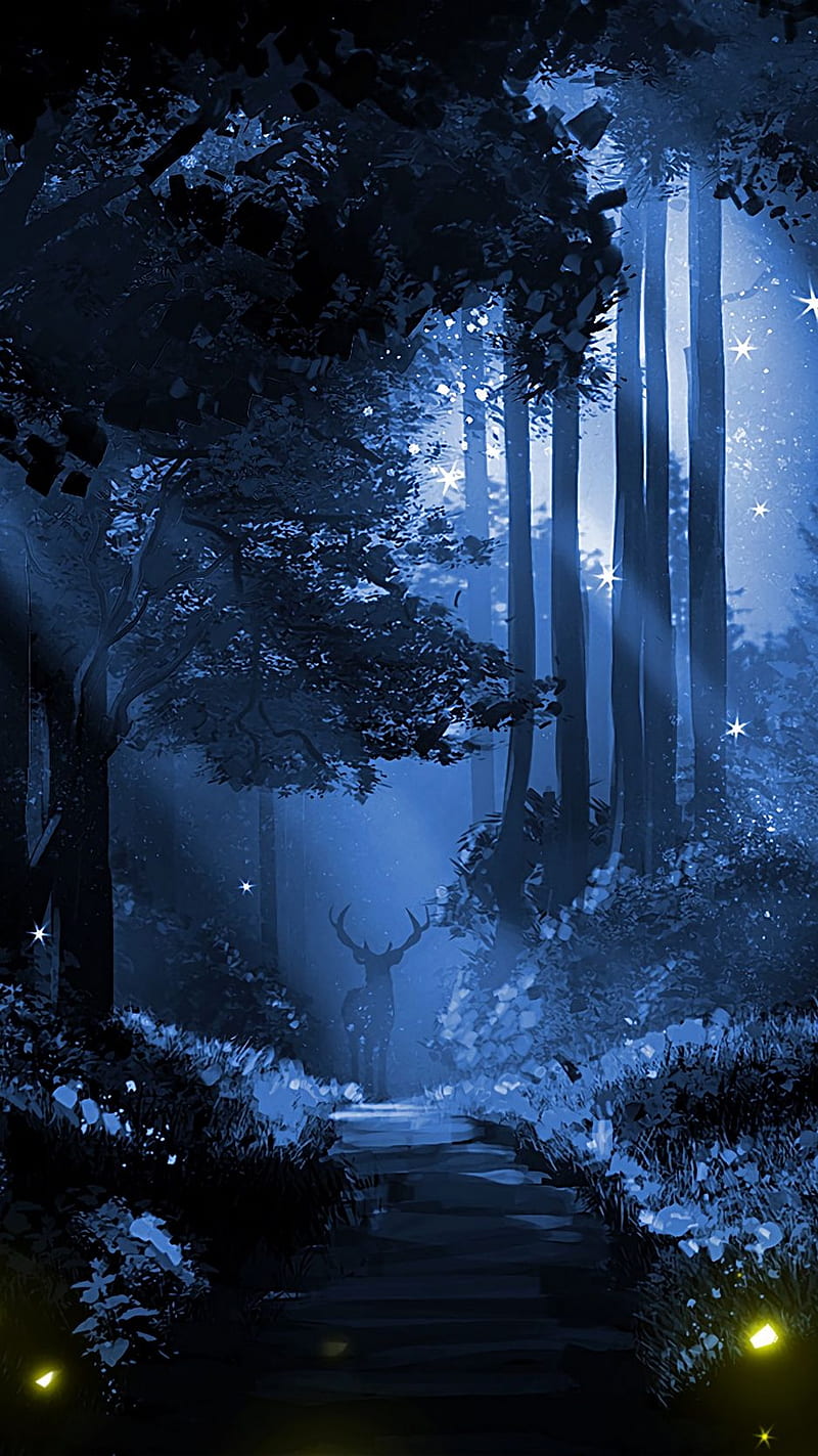 Night Forest, Beautiful Night Forest, HD phone wallpaper | Peakpx