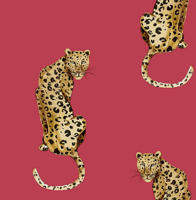 Daisy Bennett Designs Leopard King Peel and Stick (Red), HD phone wallpaper