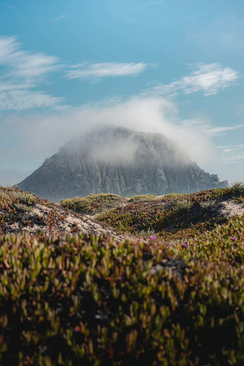 mountain, peak, clouds, vegetation, landscape, HD phone wallpaper
