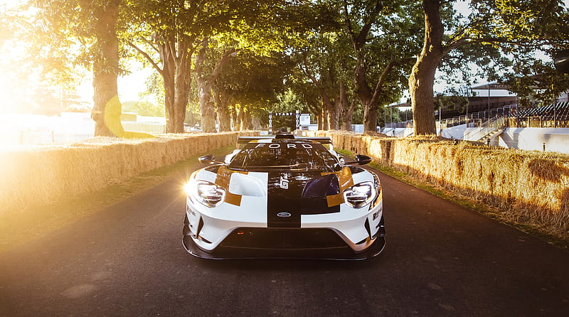 2019 Ford GT MK II Sports Car Road Ultra, carros, Supercars, Electric, bonito, Sunshine, Trees, desenho, Drive, Outdoor, Ford, Performance, Nice, Luxury, Fast, supercar, Motor, sportscar, Vehicle, automotive, electriccar, 2019, HybridEngine, HD wallpaper