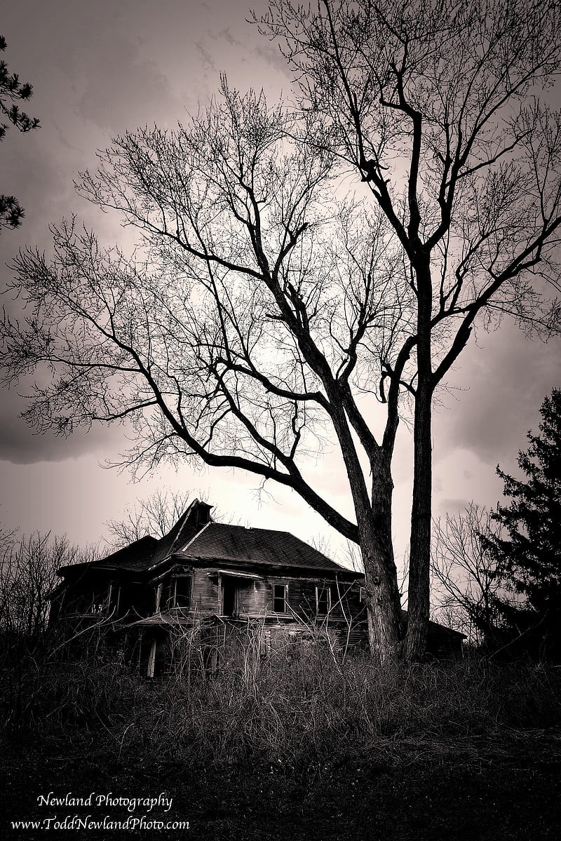 Forgotten, creepy, haunted house, HD phone wallpaper