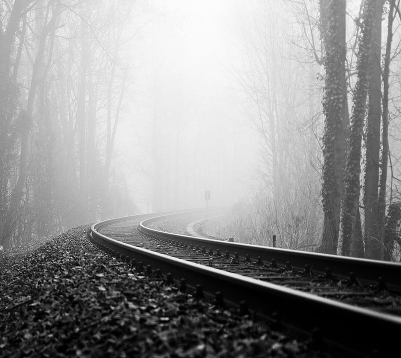 Dark Rail, black, forest, HD wallpaper