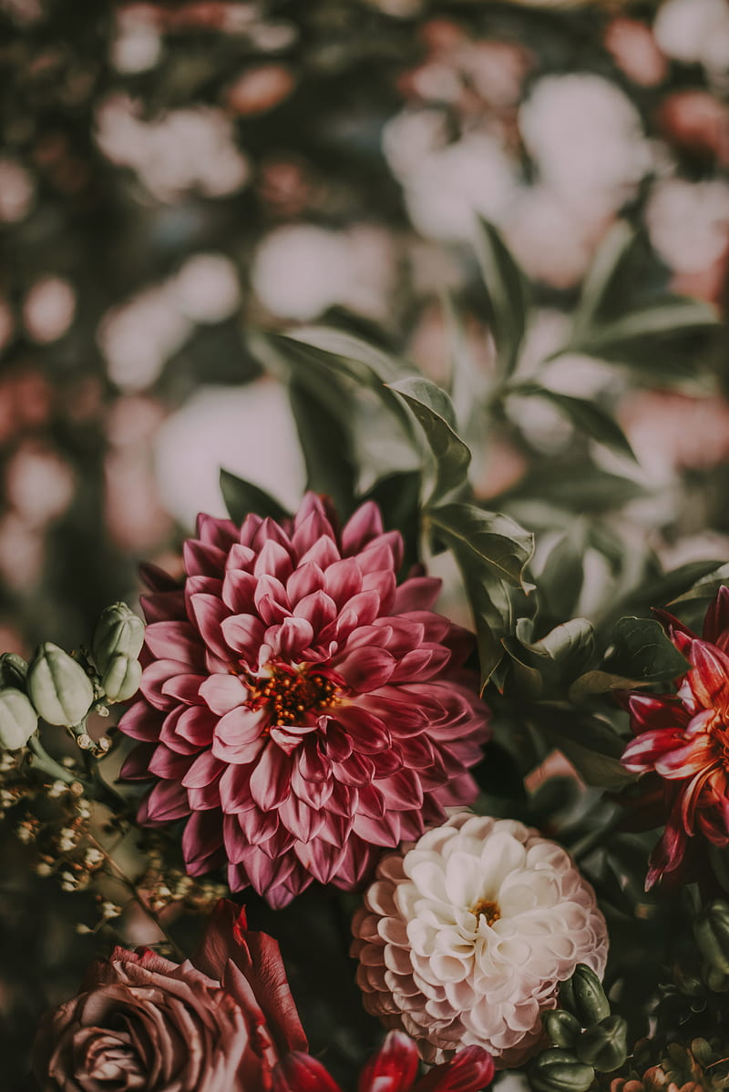 flowers, bouquet, composition, pink, HD phone wallpaper