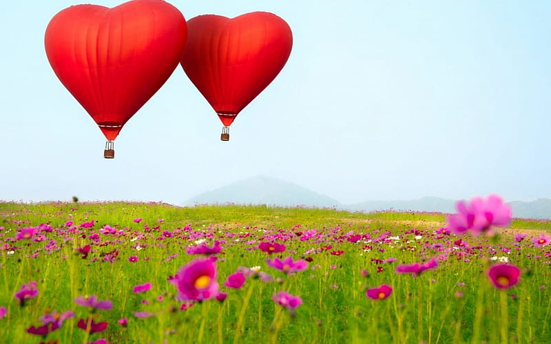 Happy Valentine's Day!, red, spring, valentine, card, balloon, green, heart, flower, cosmos, pink, couple, field, HD wallpaper