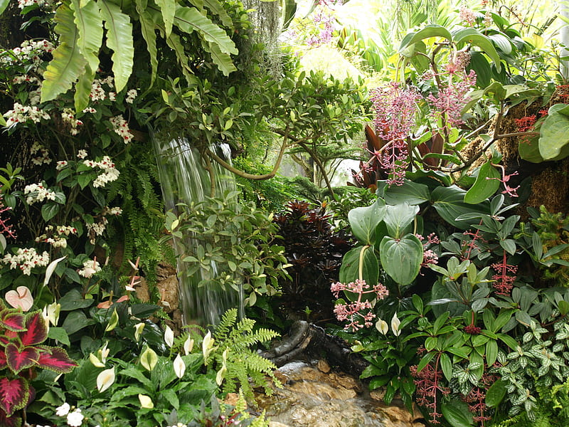 tropical garden, peaceful, waterfall, garden, tropical, HD wallpaper