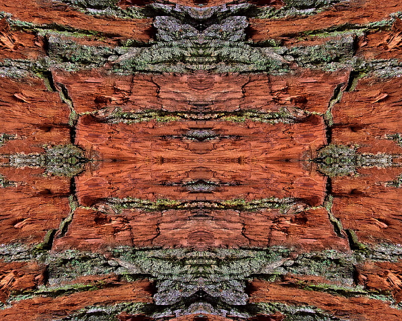 Tree Red Blood, expensive, green, luxury, mmmatus, symmetric, symmetry, wood, HD wallpaper