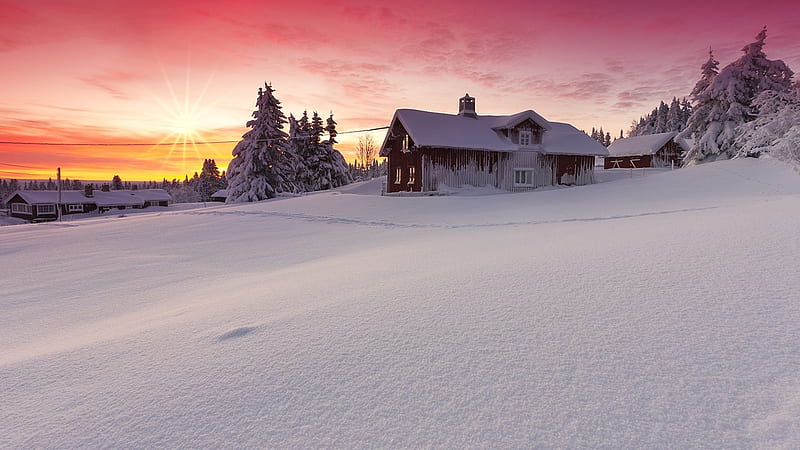 nature winter snow dawn-Nature, HD wallpaper