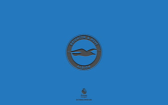 Brighton & Hove Albion F.C. Logo Color Scheme » Blue »