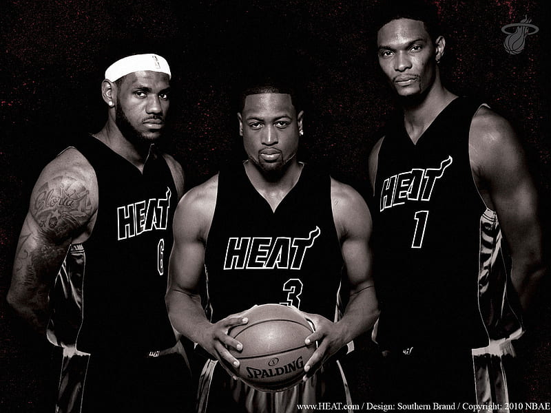 NBA Miami Heat 10-11 group2, HD wallpaper