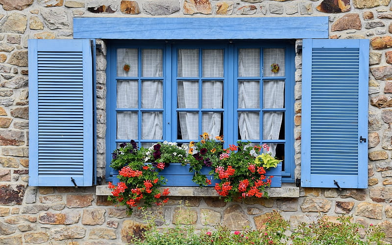 Window with Flowers, flowers, shutters, window, blue, HD wallpaper