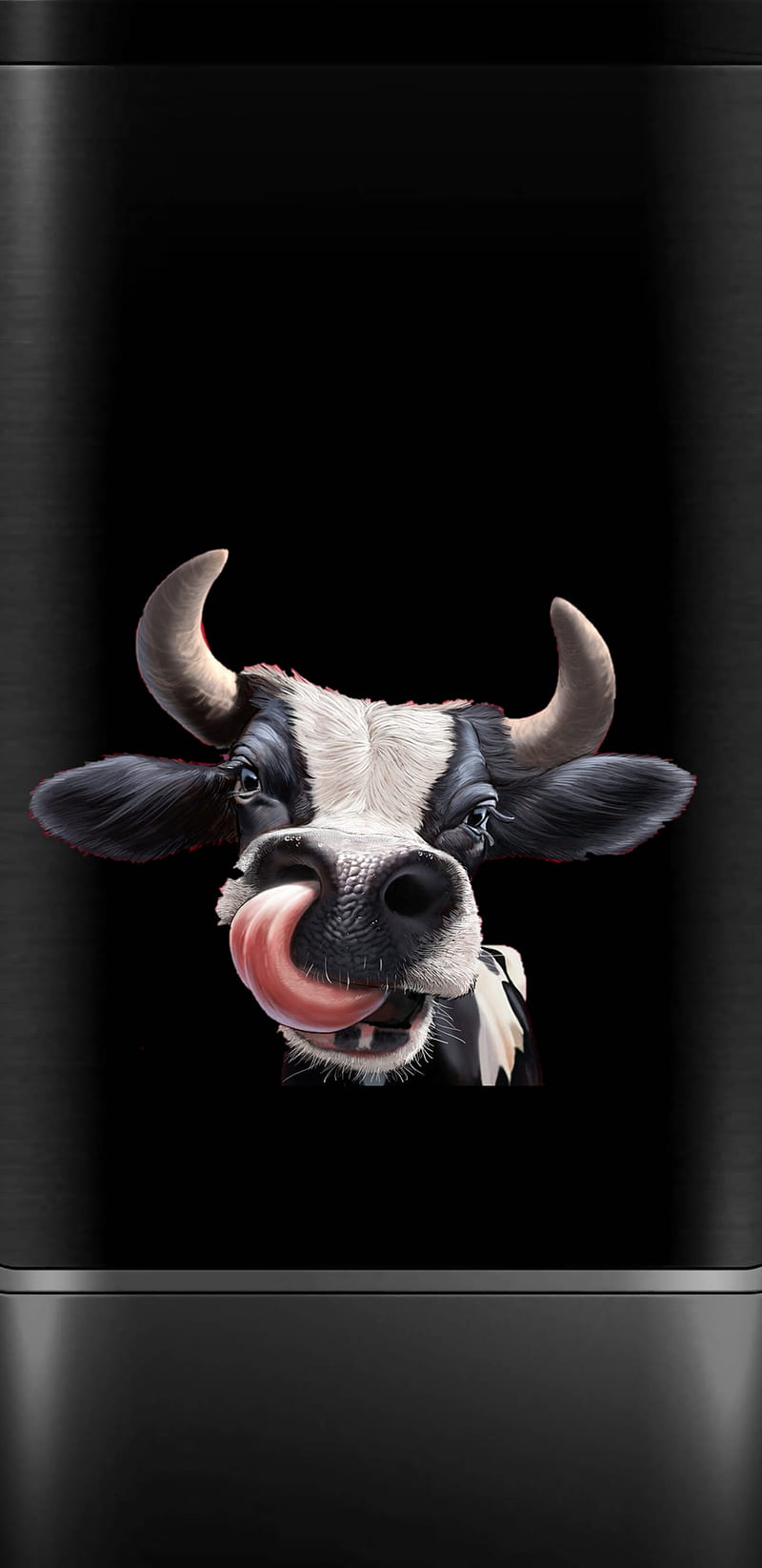 Cow, black, funny, HD phone wallpaper