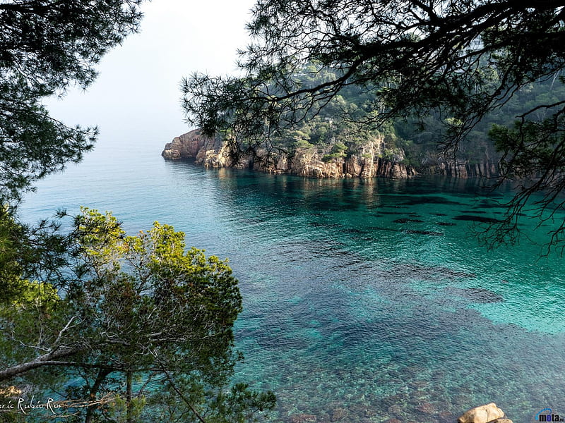 Beautiful bay on the Costa Brava, Spain, rocks, trees, costa, sea, spain, pine, nature, brava, bay, HD wallpaper