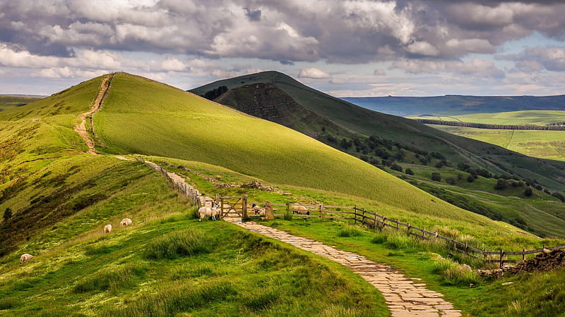 path through hilly sheep pasture in england, hills, sheep, pastures, path, clouds, HD wallpaper