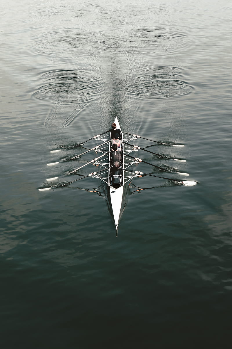 boat, rowing, sport, HD phone wallpaper