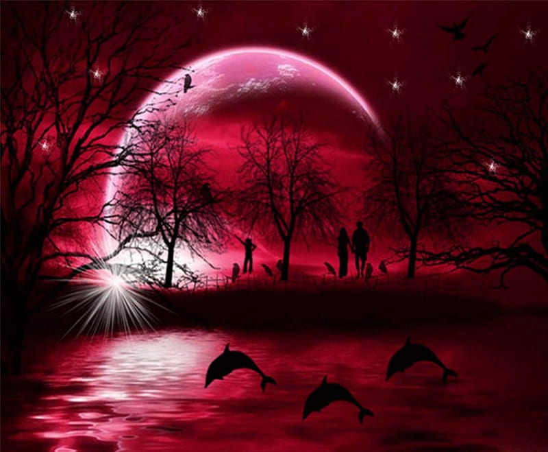 Moonlight Dolphins, red, stars, birds, trees, fantasy, moon, water, dolphins, bright, HD wallpaper