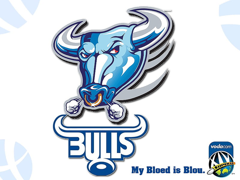 Bulls - My bloed is blou, rugby, bulls, HD wallpaper