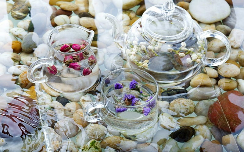Aroma Therapy, glass, cup, flowers, stones, HD wallpaper