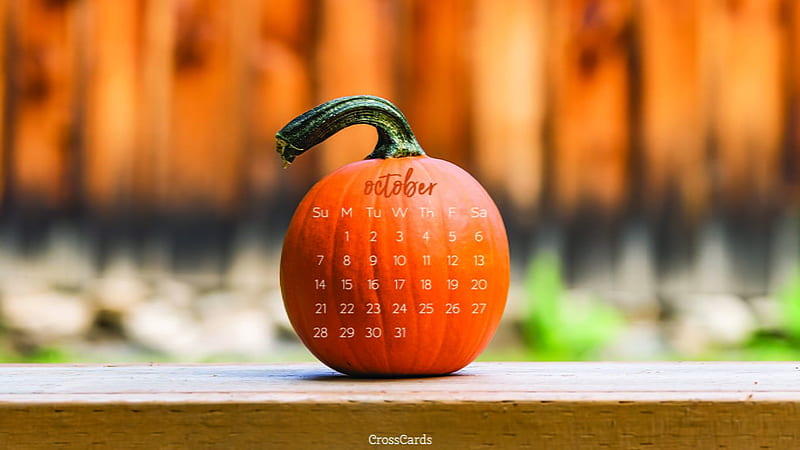 October 2018 - Pumpkin Calendar- October, October Birtay, HD wallpaper