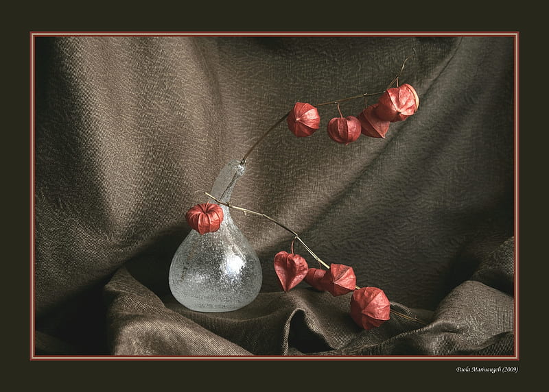 still life, shawl, art , brown, composition, bacground, elegant, glass vase, water, dry, flowers, HD wallpaper