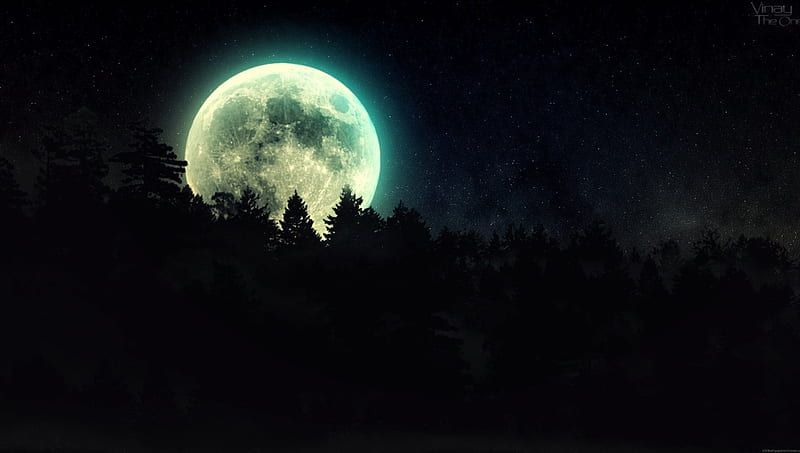 Full Moon Over The Forest, forest, moon, full moon, big moon, over, HD wallpaper
