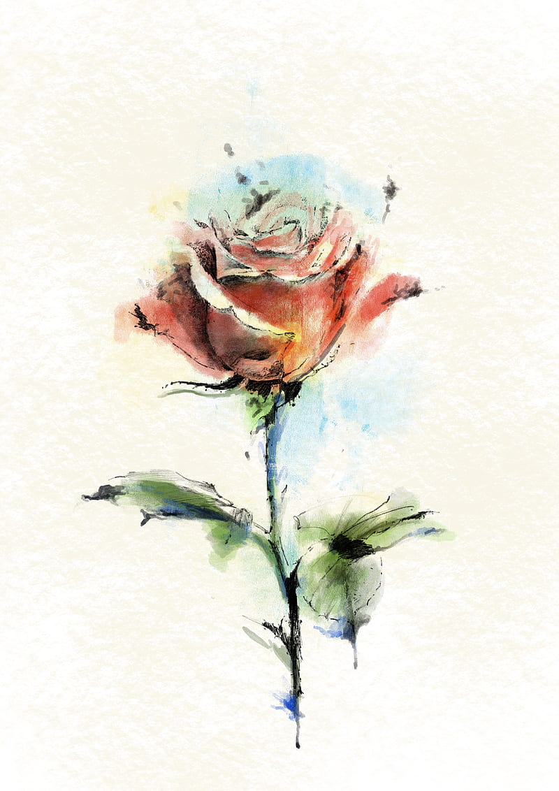 Rose, absrtactart, flower, painting, watercolor, watwerdolor, HD phone ...