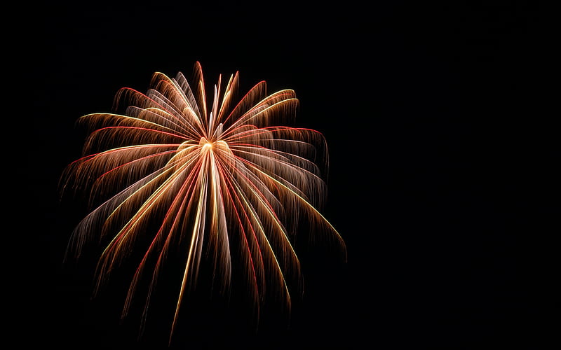 fireworks on black background, night sky, fireworks, holiday, explosion, HD wallpaper