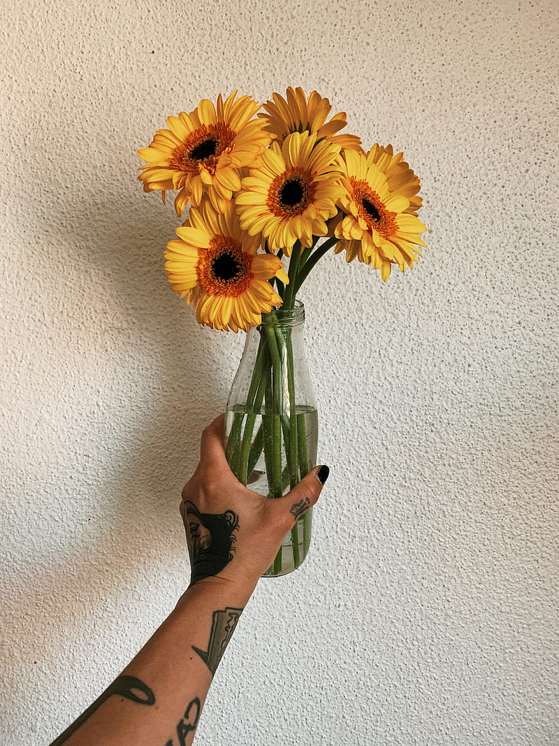 gerbera, bouquet, hand, tattoo, HD phone wallpaper