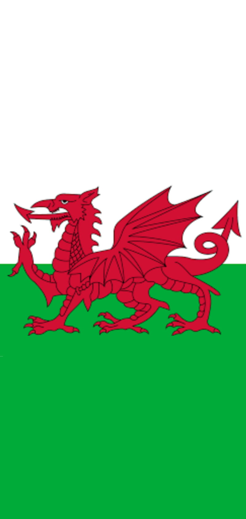 Wales , cymru, daffodil, dragon, flag, love, patriotic, red dragon, welsh, HD phone wallpaper