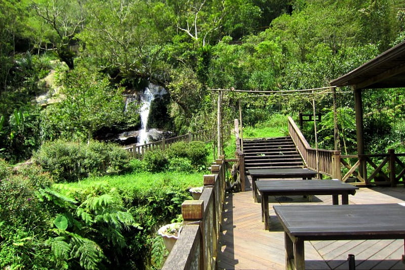 Waterfalls coffee shop, forest, trail, coffee shop, tables and chairs, wood, waterfalls, HD wallpaper