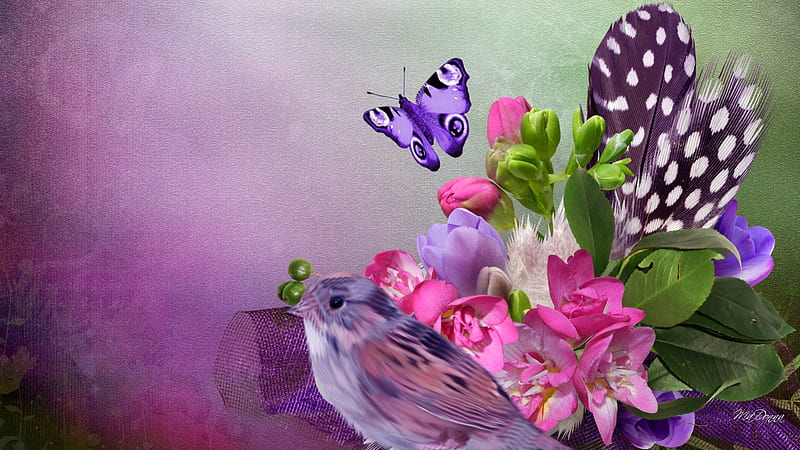Bird Butterfly Blossoms, spring, lavender, floral, butterfly, green, purple, bird, summer, flowers, pink, feathers, HD wallpaper