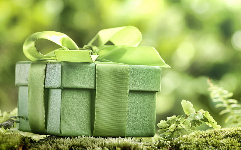 green gift box, green silk bow, eco concepts, ecology, environment, nature concepts, HD wallpaper