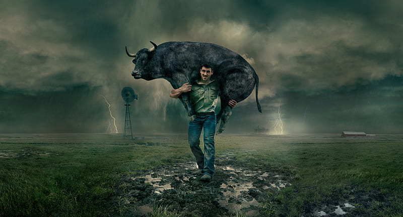 The power of a man, cow, black, power, man, creative, storm, situation, horns, fantasy, green, funny, bull, dan escobar, HD wallpaper