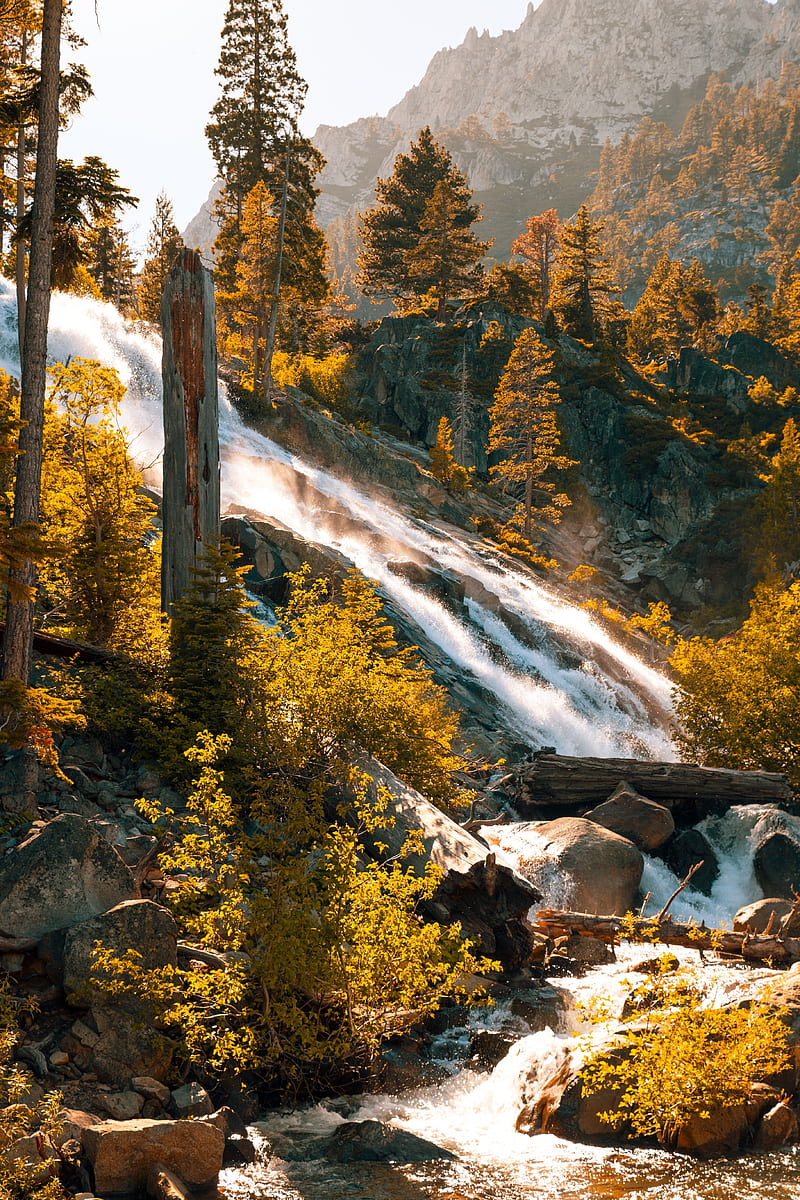 river, stream, mountain, trees, stones, HD phone wallpaper