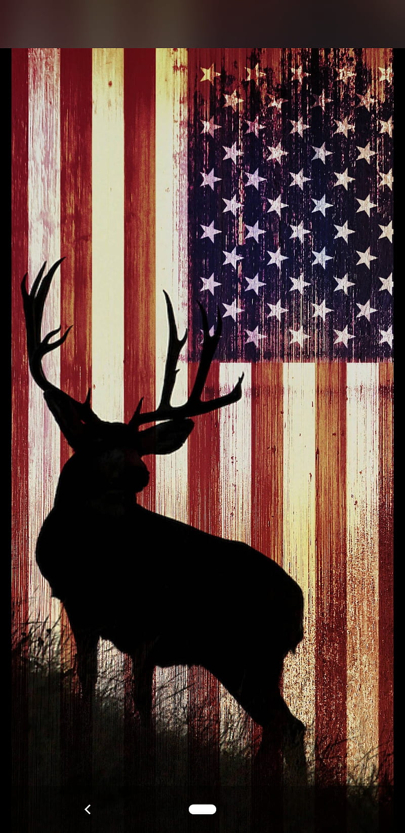 Hunter, season, america, hunting, deer, HD phone wallpaper