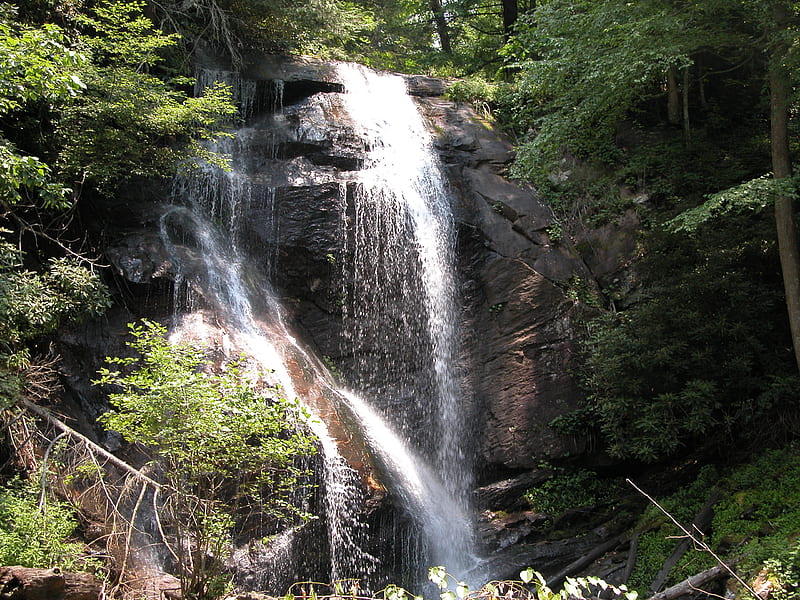 Anna Ruby Falls, waterfall, forest, georgia, HD wallpaper