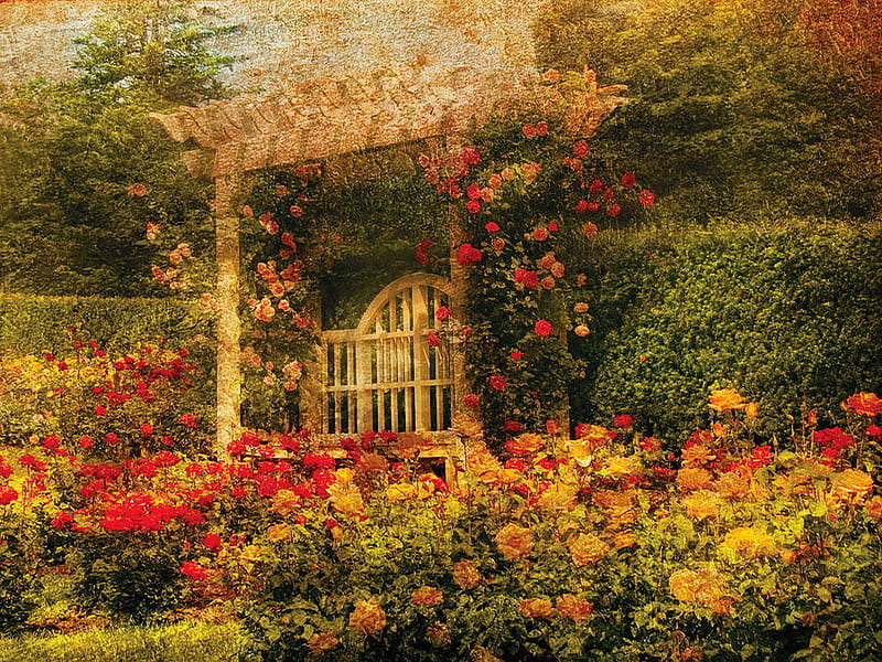 A rose garden, house, flowers, garden, bonito, roses, door, HD wallpaper