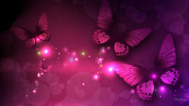 Pink Black Butterflies Pink Butterfly, HD wallpaper