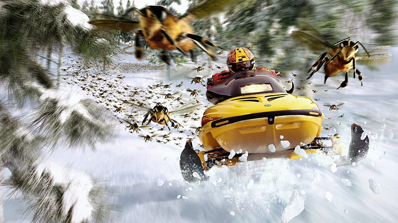 Ride Like The Wind, snow, bees, fast, snowmobiles, HD wallpaper